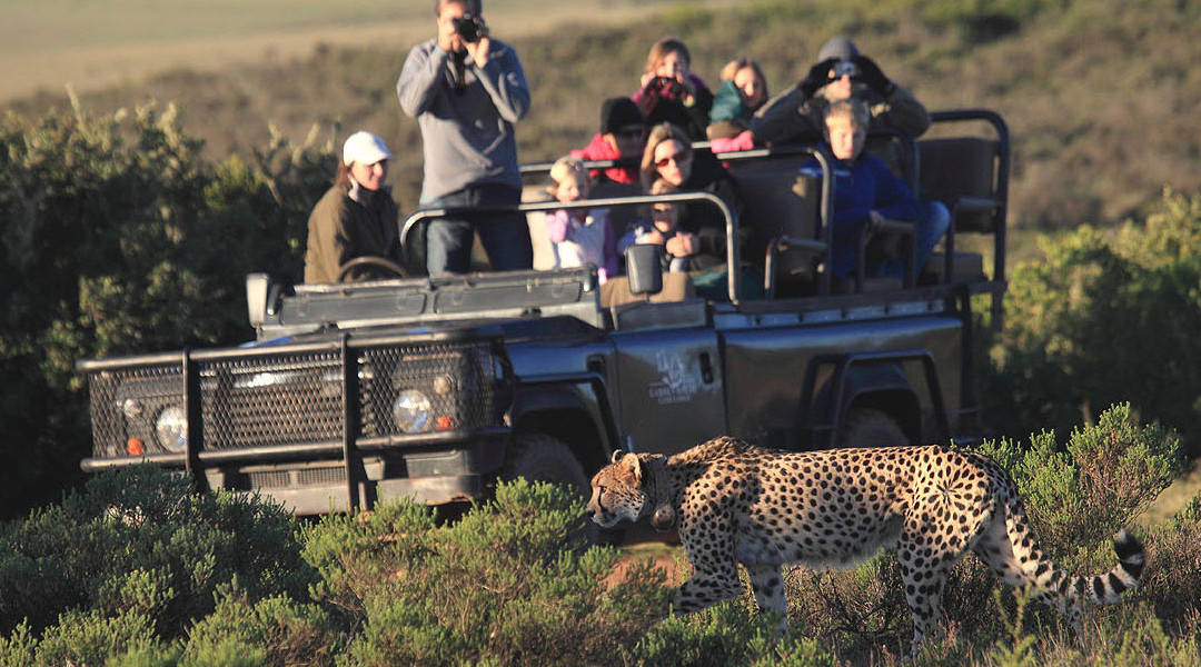 Tours with FandF Tour company